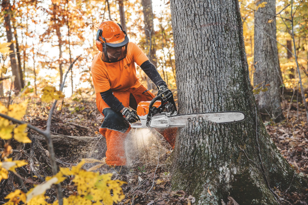 Stihl | ChainSaws | Professional Saws for sale at King Ranch Ag & Turf