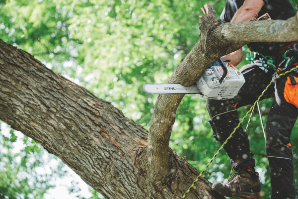 Stihl | ChainSaws | In-Tree Saws for sale at King Ranch Ag & Turf